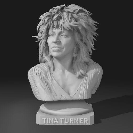 Tina Turner bust statue