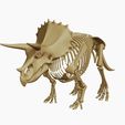 02.jpg Triceratops: Skull and Body