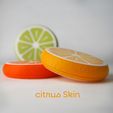 orange12_text.jpg Loopfruit – The Citrus Pill Organizer that Clicks