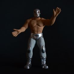 El Santo : Le lutteur mexicain masqué d'argent.