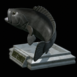 White-grouper-open-mouth-1-14.png fish white grouper / Epinephelus aeneus trophy statue detailed texture for 3d printing