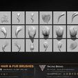 60-VDM-and-Alpha-Hair-and-Fur-Brushes-for-ZBrush-Sculpted-By-Yacine-BRINIS-Volume-01-Set-012.jpg 60 VDM and Alpha Texture Hair and Fur Brushes Volume 01