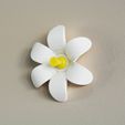 1.jpg Free STL file Flower-shaped Push pin #1・3D print model to download