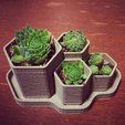 Screenshot-2025-05-14-223847.png Hexagonal Planter