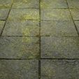 4.jpg Textura Mossy Pavement 8K PBR