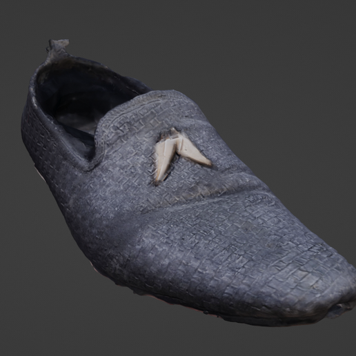 shoe