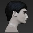 30.jpg Audrey Hepburn black and white bust for full color 3D printing