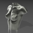 01.png 3D file Bust 07・3D printing idea to download