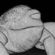 11.jpg 3D PRINTABLE MYTHOSAUR SKULL  HORNS AND SORGAN FROG THE MANDALORIAN
