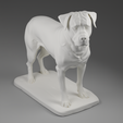 renderprin.png Rottweiler