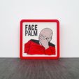 FacePalm-002.jpg FrameCorp Face Palm