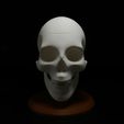 Foto-12-10-25,-19-12-15.jpg Candy Skull