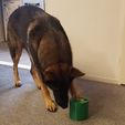 dog toy03 2000px.jpg Dog Toy to keep your dog from boredom