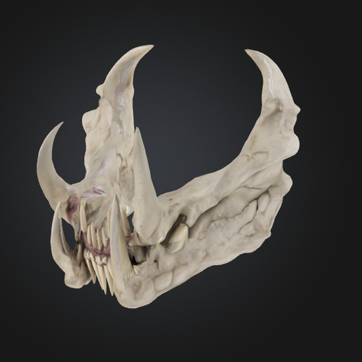 💀 Abyss Maw Xal'Zirath - EDZX (Demonic Jaw Skull Mask