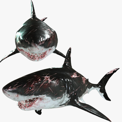 portada-shark.png SHARK, DOWNLOAD Shark 3D modeL - Animated for Blender-fbx-unity-maya-unreal-c4d-3ds max - 3D printing SHARK SHARK FISH - TERROR  - PREDATOR - PREY - POKÉMON - DINOSAUR - RAPTOR