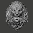 02.jpg Lions HEAD
