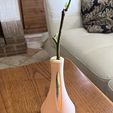 IMG_5027.jpg Flower vial vase