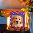 WhatsApp-Image-2025-09-16-at-10.53.26-PM.jpeg Pet Altar (Puppies)