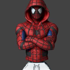 Spidey_Z_01.jpg Spiderman Bust