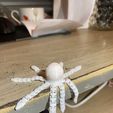IMG_6364.jpg articulated octopus