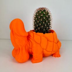 20230608_081102.jpg STL-Datei Dicky Turtles Blumentopf A・Design für 3D-Drucker zum herunterladen
