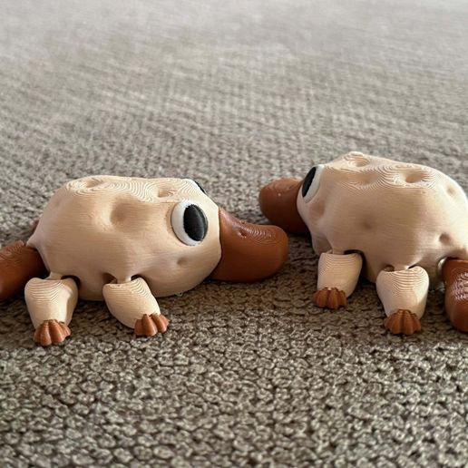 504726617_10164073613031412_8090635103589696937_n.jpg Flexi Plataterpus- part potato, part platypus, all adorable!!