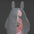 totorito.png Totoro anatomy