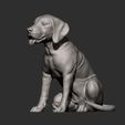 Fila-Brasileiro-puppy7.jpg Fila Brasileiro puppy 3D print model