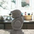 s2.jpg Master Chief Büste