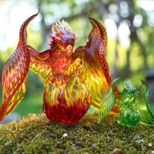 P1051626.jpg Phoenix