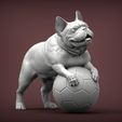 French_Bulldog1.jpg French Bulldog 3D print model