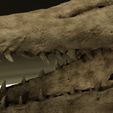 3.jpg Mosasaurus Tylosaurus Proriger Skull