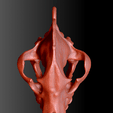 product_image_10098.png Free STL file Hyena Skull Pendant with Loop・3D print model to download