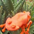 WhatsApp-Image-2024-02-10-at-06.44.35.jpeg Cute jointed frog