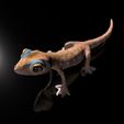 Pachydactylus-Rangei_BodenDark0008.jpg Namib Gecko (Pachydactylus rangaii) - Full-Size Original STL 3D Print File- High-Polygon