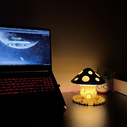 IMG_1790.jpg The Magic Mushroom Lamp!