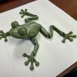 Cute Flexi Print-in-Place Frog, anonymous-82365a2d-8af0-43cb-b008-0be9ae6e60a3