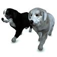 002.jpg DOG DOG - DOWNLOAD Sheepdog 3d model - CANINE PET GUARDIAN WOLF HOUSE HOME GARDEN POLICE 3D printing DOG DOG
