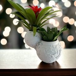 PhotoRoom_20230804_132330.jpg STL-Datei Einzigartige Vase Regal Dekor Blumentopf Dekoration Exquisite Geschenk Meisterwerk für Ihr Zuhause Dekor Wohnzimmer Liebhaber Home Beauty・3D-druckbares Modell zum Herunterladen
