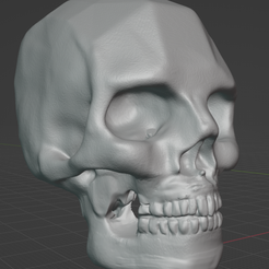 skull-example-mine.png Anatomy Artist Reference Human Skull
