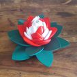 20190706_103935.jpg Flower Puzzle