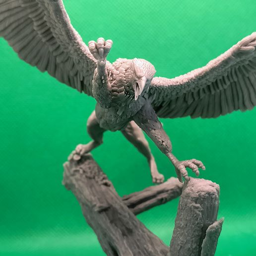 IMG_20250725_094550938_AE.jpg Gryphon