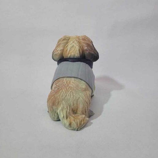 WhatsApp-Image-2024-08-18-at-12.17.10-PM-3.jpeg Shih Tzu