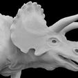 7.jpg Triceratops dinosaur figurine old school