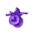 Caudal_Vertebra_12.OBJ OBJ file Life size baby T-rex skeleton - Part 09/10・3D printable design to download