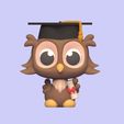 Cod620-Graduate-Owl-1.jpeg Graduate Owl