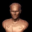 N12.jpg Rafael Nadal 3D print model