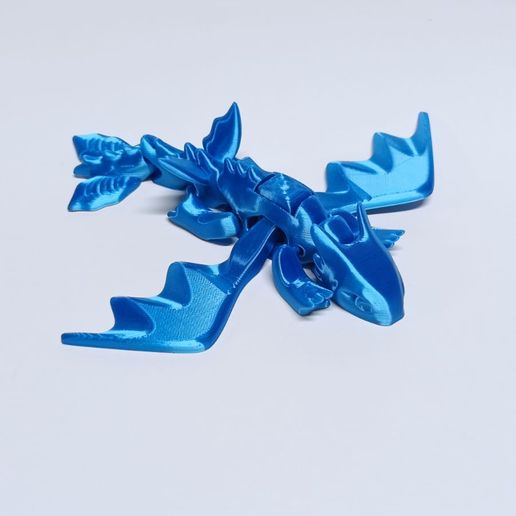 c484957f-fb7c-44e4-a5f2-7fb72f74dbe7.jpg Nice Flexi Dragon