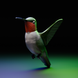 2Camera_001.png hummingbird