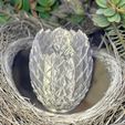 IMG_3323-copy.jpg Dragons Egg Bowl with Egg